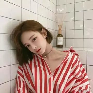 舒克贝塔第四季
